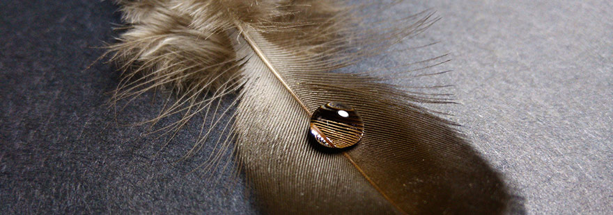 纸币隐藏的故事，不用手机拍还真不知道