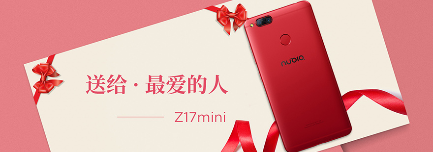 炫红送给最爱的人