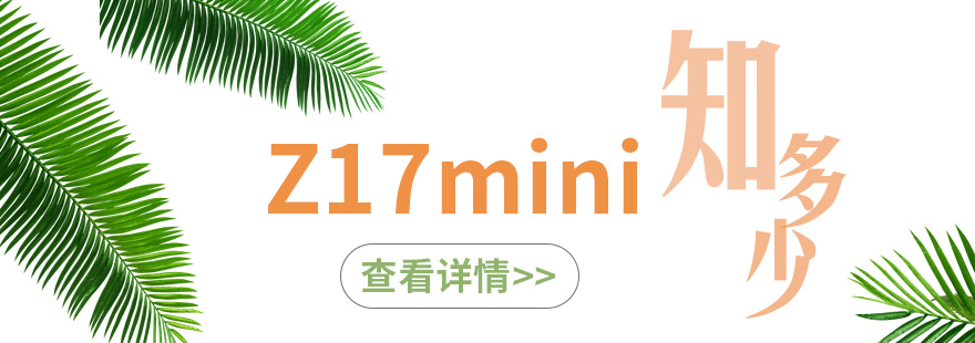Z17mini 知多少