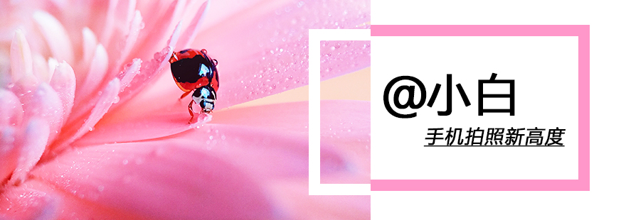 “拍照”这么简单，但你学会了吗？