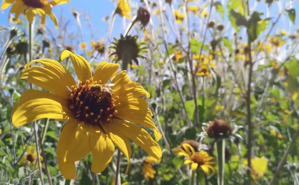 时间的回想 - 努比亚Z17mini延时摄影